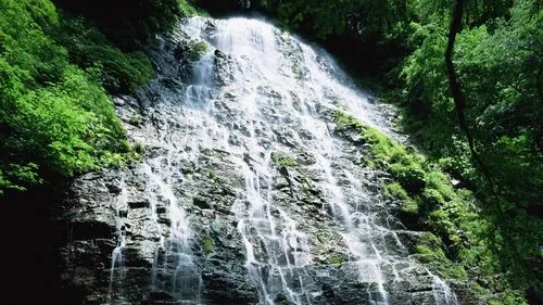 环保数字化